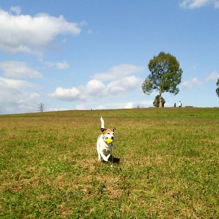 E3bb36e8 ccee 4e0c a64c d8b00b4e14ff