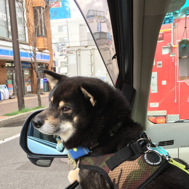 E3bb7ec8 8fdf 4a36 bbec cb9e5ab5d5d6