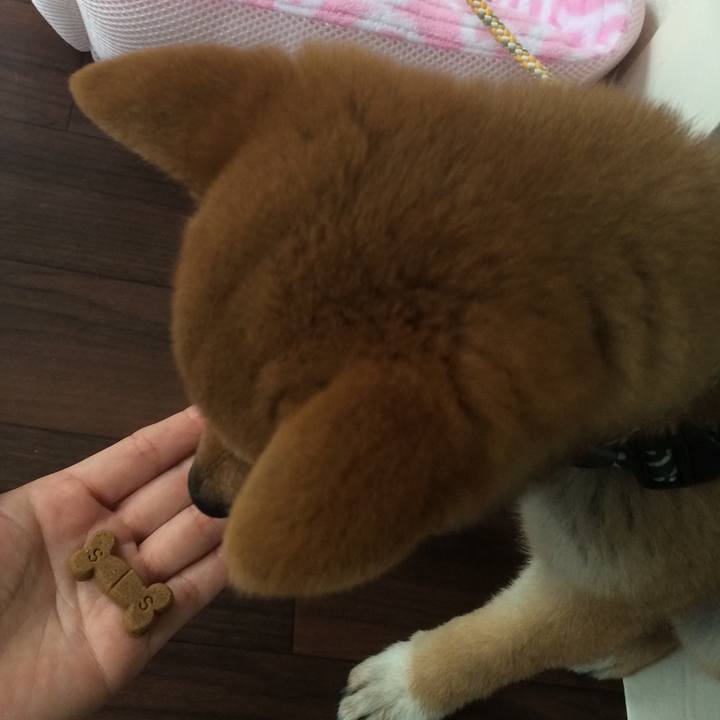 E3bb866a 1c44 41f3 9f05 defe5949b256