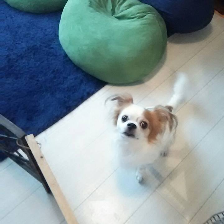 E3bbf030 c136 4b1f bf50 6f798918b098