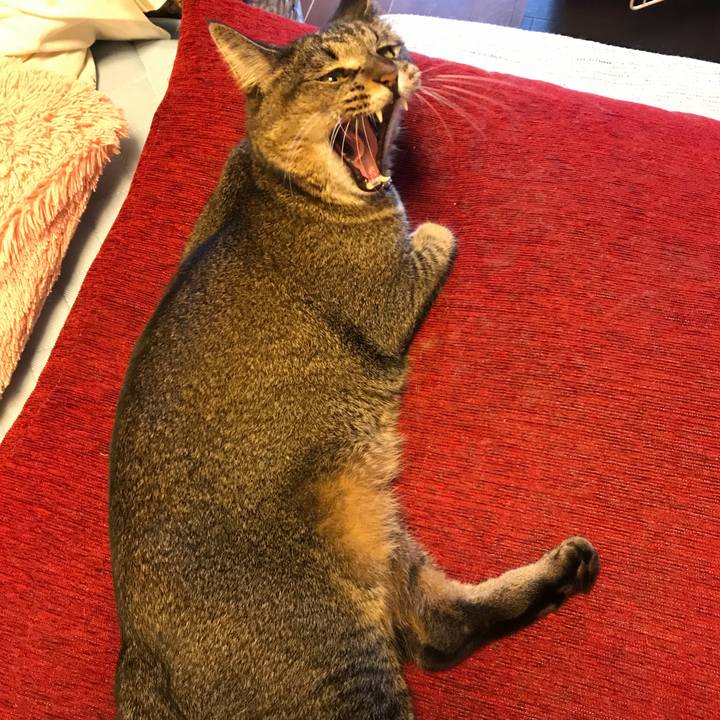 E3bcd7b4 32a9 4d75 897d 2a284acb57d5