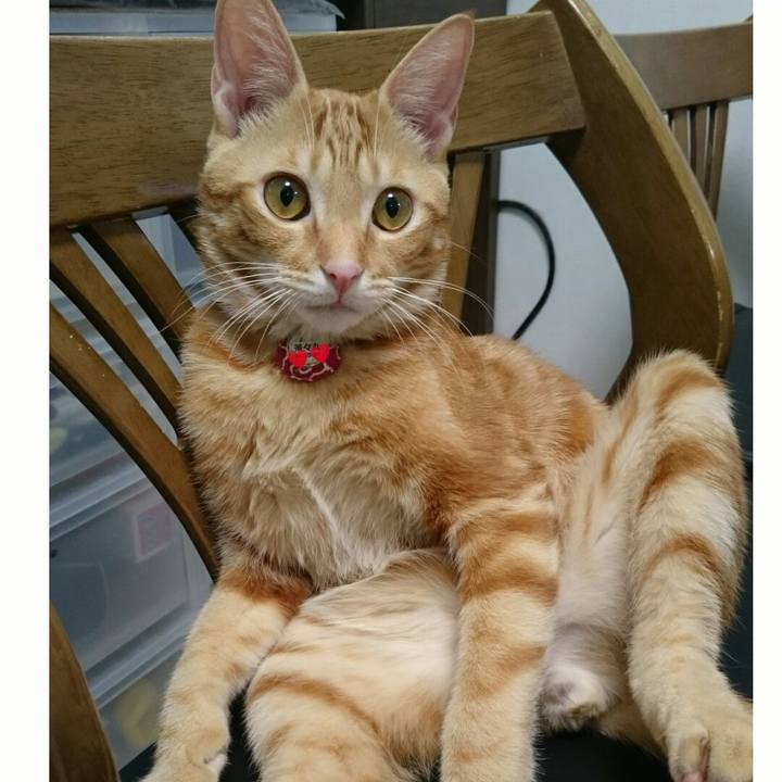 E3bd0d14 762f 4545 9232 11ff096985bd