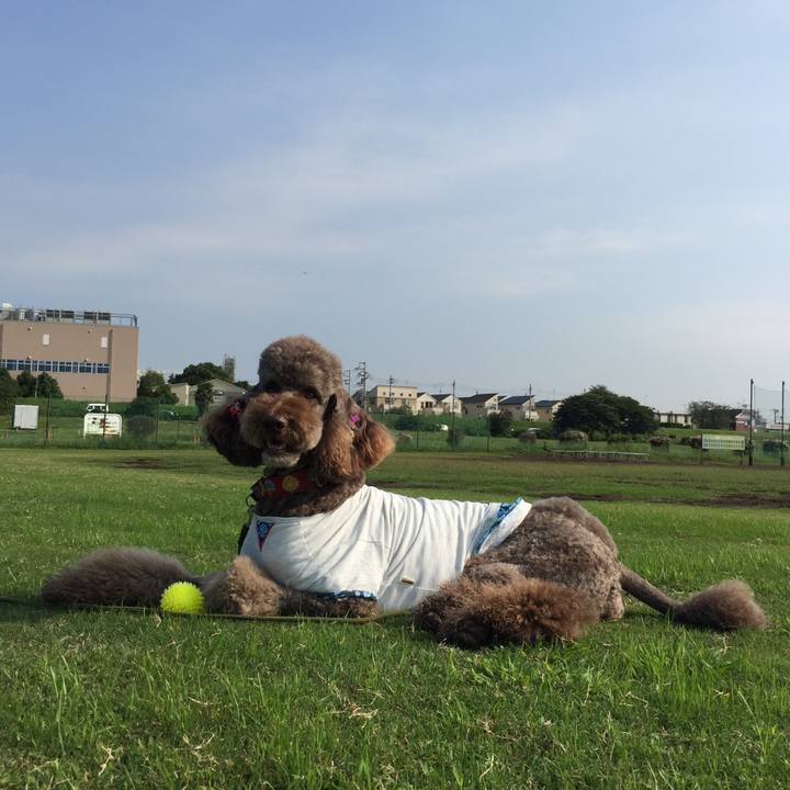 E3bd5848 1715 4b23 9d18 a4d6f1d9a42c