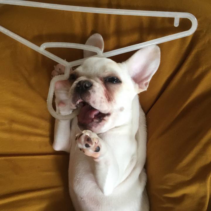 E3bd659a 4b01 4e2c a6dc 1fe78f5bec64