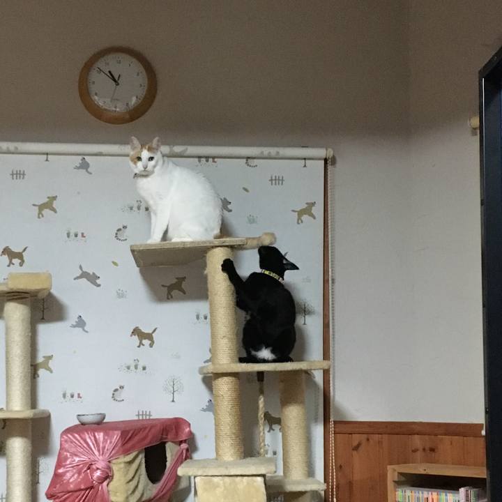 E3bdbb2e 0deb 467e 9bec dd25b1a2e46c