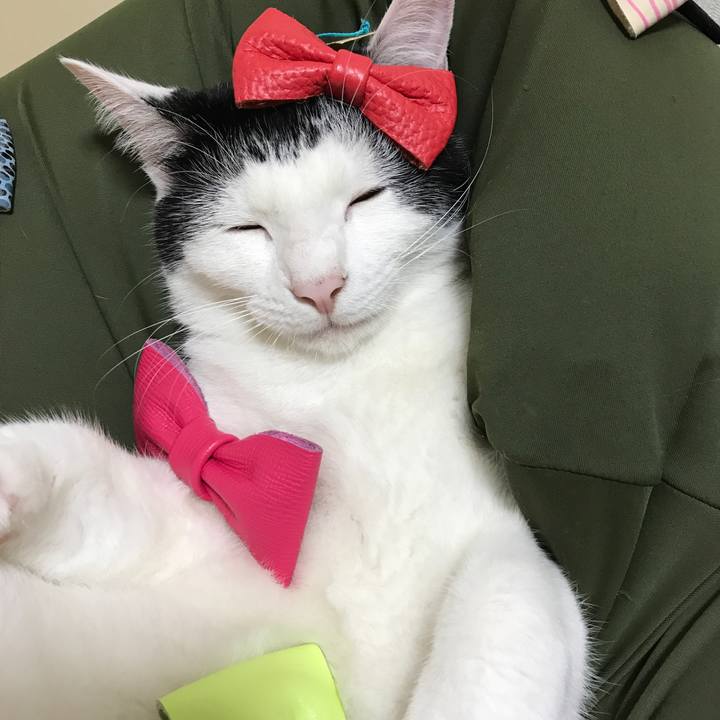 E3be997e a36a 4297 9185 215ace1539d4