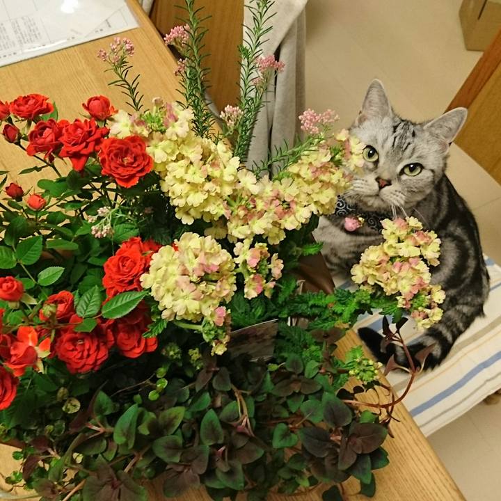 E3bf03f0 0ac6 4209 94fb da69d7031b04