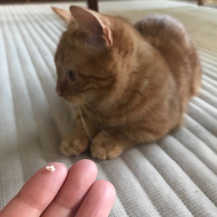 E3bf3dbd cca6 420b ab54 18c738021c45