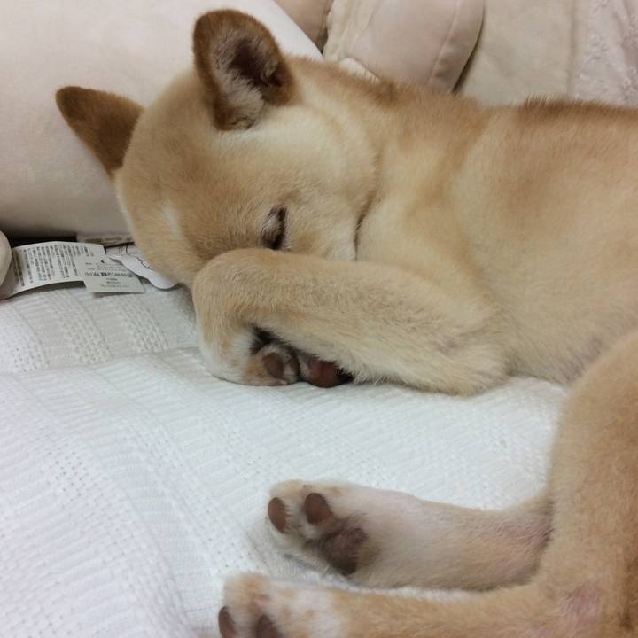 E3bfcf57 b233 47cd ad5b 184ba9f63bd2