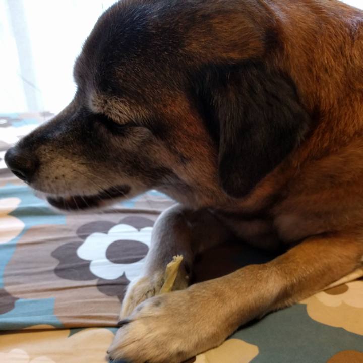 E3bfd970 52d3 4c63 94c7 3530c2ae270f