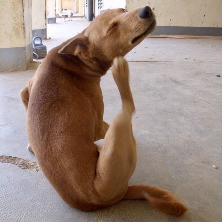 E3c02b17 1ec9 4d07 8b84 54563228aec1