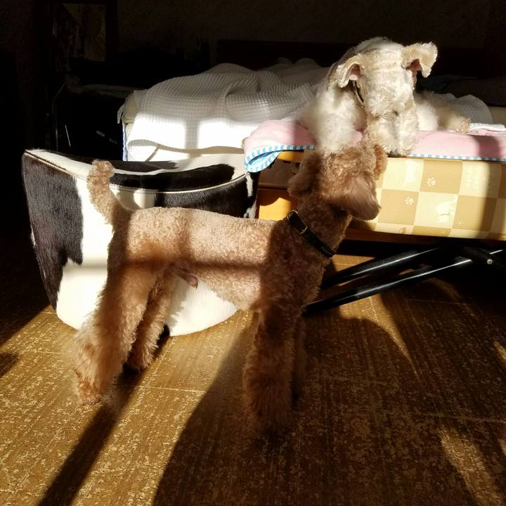 E3c052ad 3805 407e 9584 eccfb2c4aa81