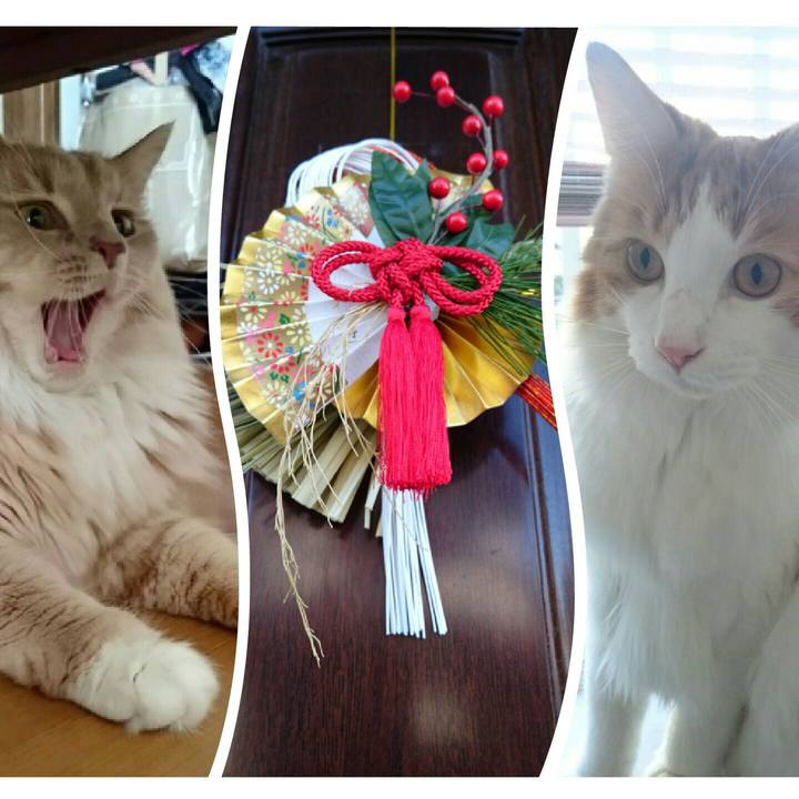 E3c0bc72 f94a 401d b9a0 e9dea4777a71