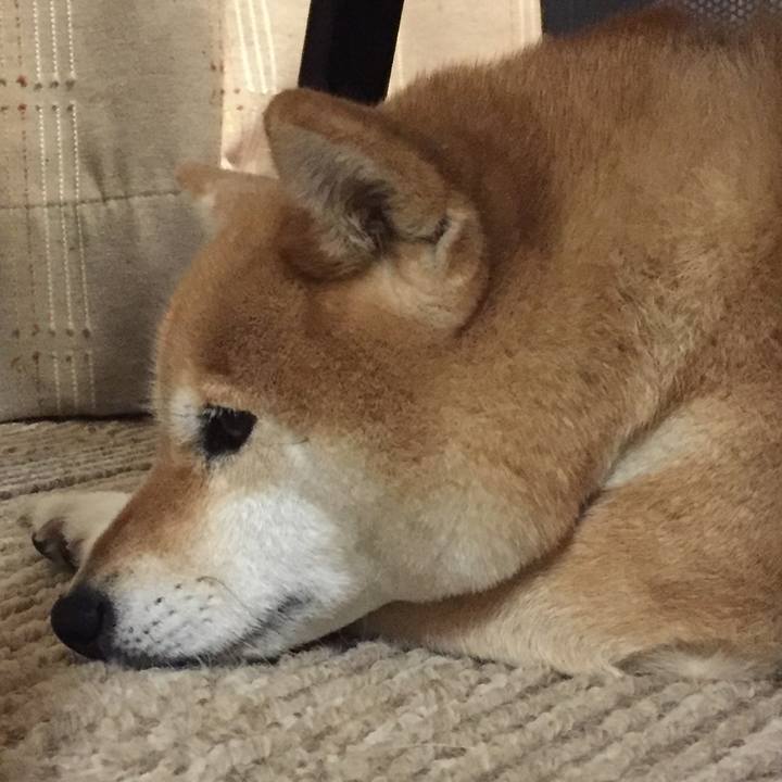 E3c0c1e0 6679 47b4 9e53 87d9ba0c4044