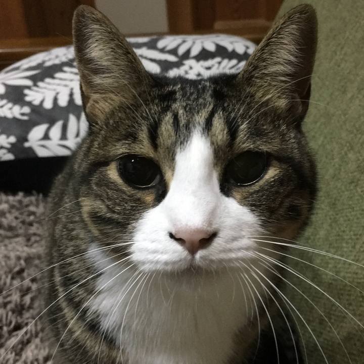 E3c0e8ba 7c42 41a9 99e8 a9c40e2c3cf8