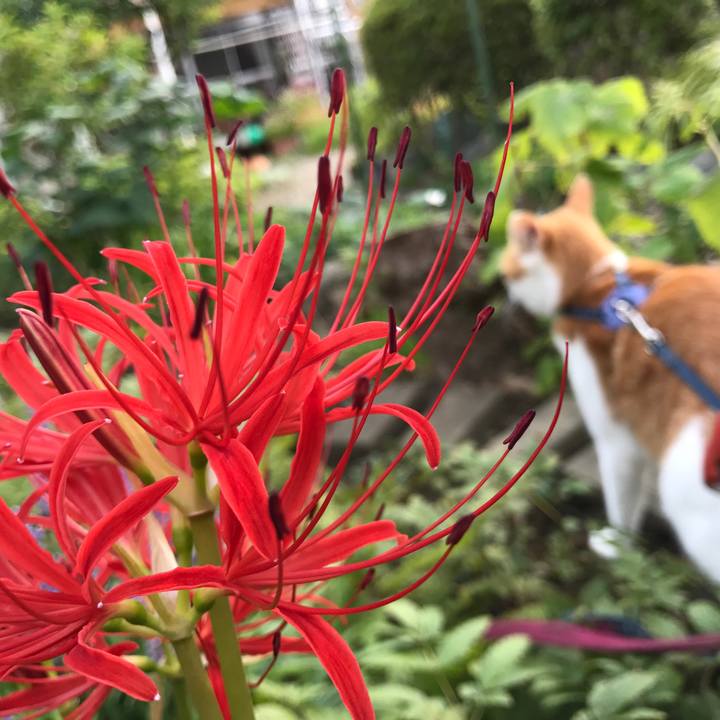 E3c0fe73 7bf7 4b24 8f6e 10e5b0606803