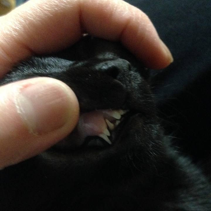 E3c11d7a b914 4411 8078 b4817c0db952