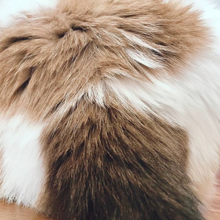 E3c1515c feb5 494f 9ff0 ec652b8dc4b6