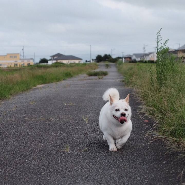 E3c27048 f345 440d 8684 8e60f9e0f918