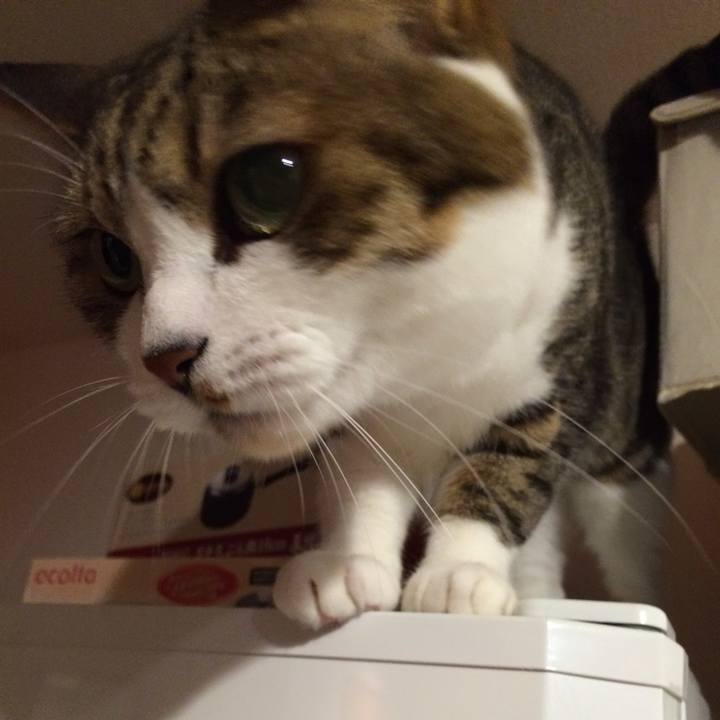 E3c2b5cd 652d 4b14 a79a 0d3fa10020a0