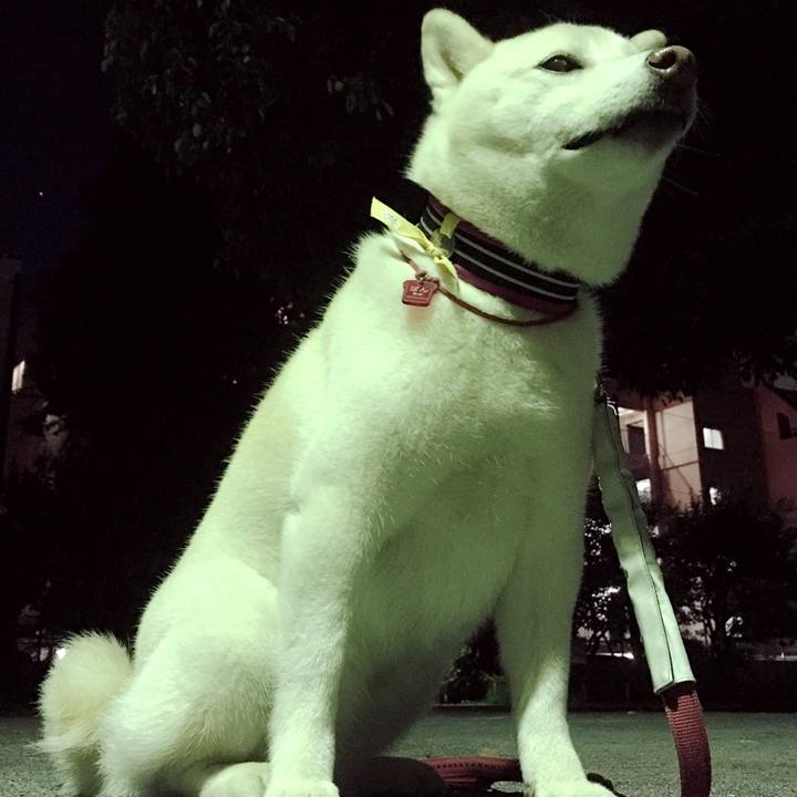 E3c2cfdf b049 473f 9a2c b409c5410438