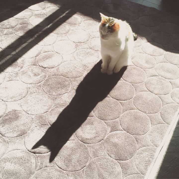 E3c327f5 c6da 4c81 a165 4cca6abb2038