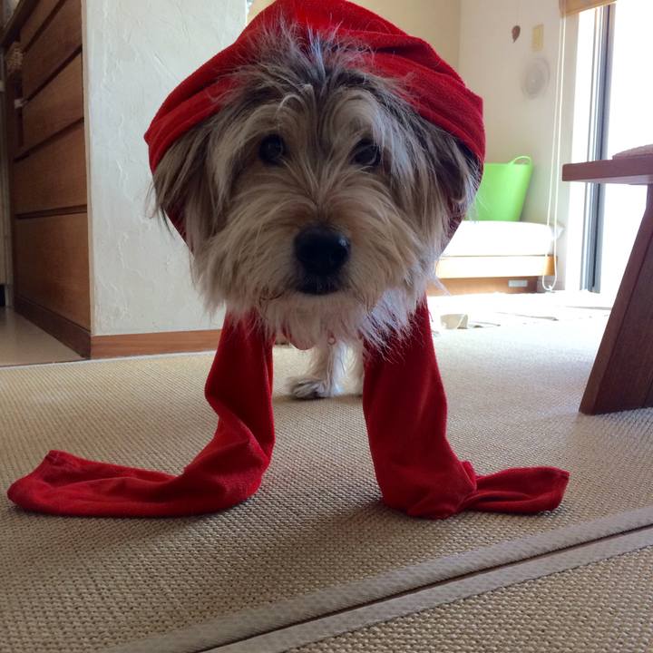 E3c32da9 6fc4 4340 964b ba12c15b4521