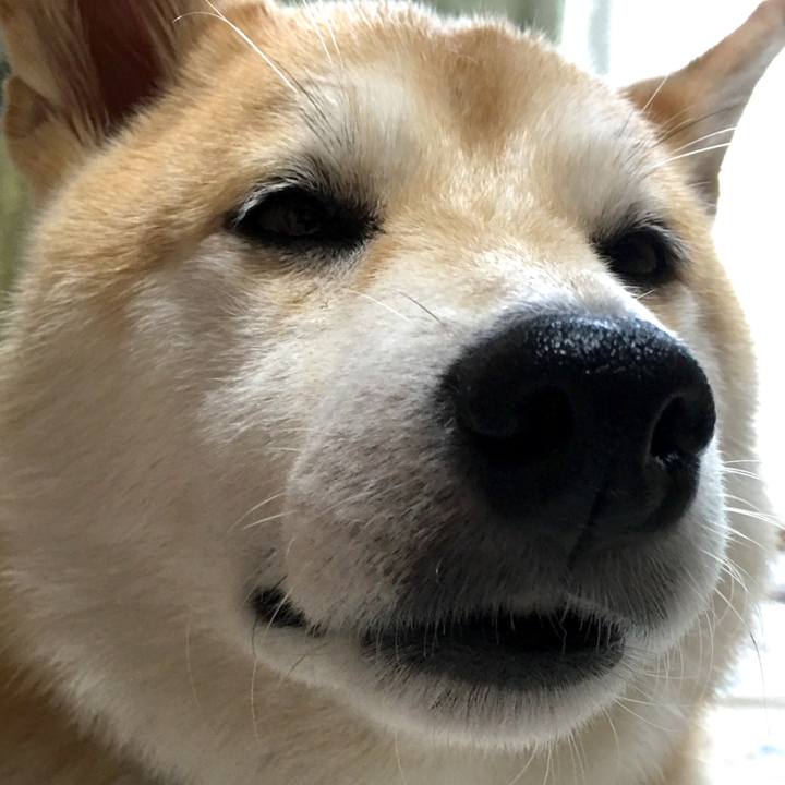 E3c3e03f e8a1 4211 8586 3bc0d5bc53d5