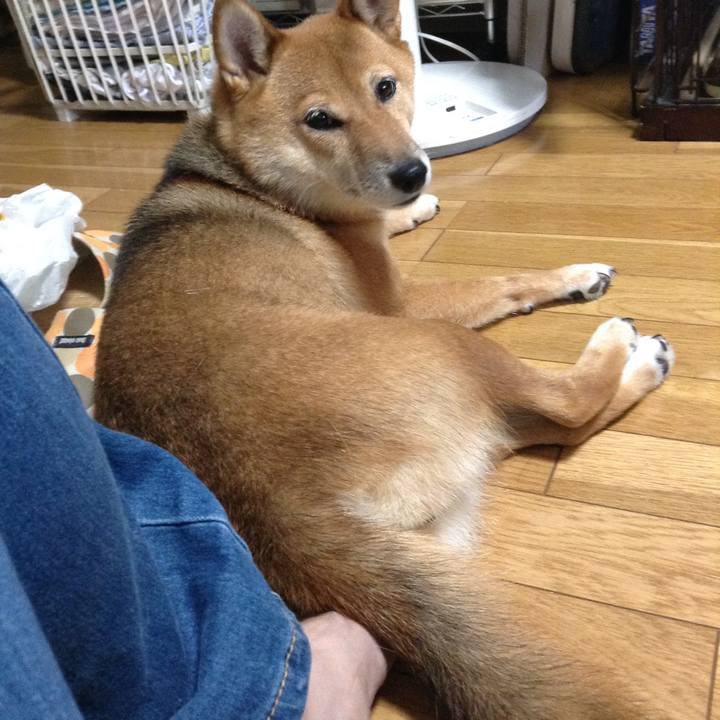 E3c3eac5 fa6f 4155 8502 403f27262856