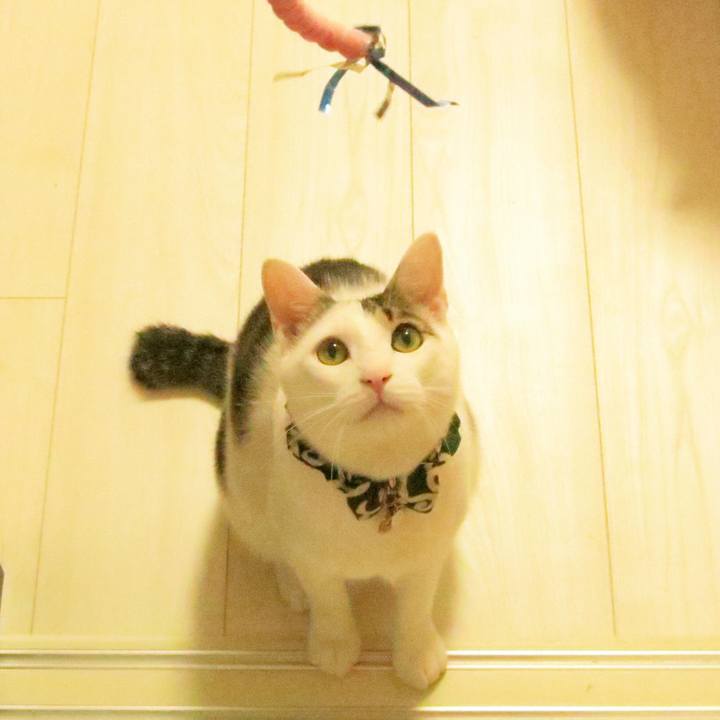 E3c41fc2 62e7 4fd4 8c84 407cff5ffbcc