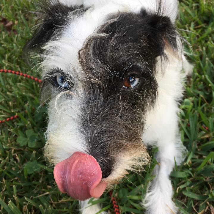 E3c43039 7cfd 43ea a3df b551c92e63af