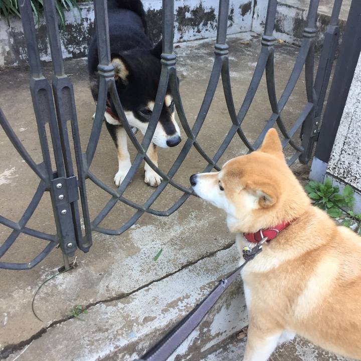 E3c4f3e4 8f26 4a9b 9f4e 21501b41faba