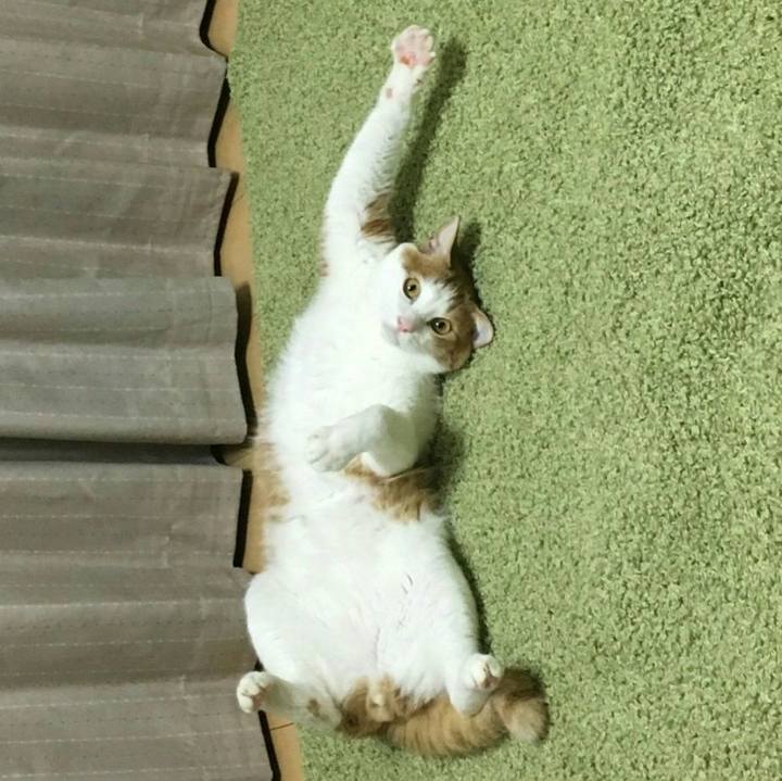 E3c4f6bd 5d2f 4b8d bc16 fea8badfdd0b