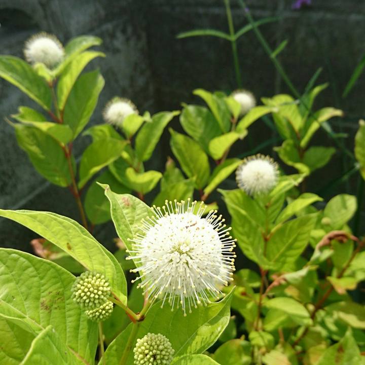 E3c56276 48e7 4632 b9ba 598fb46d689f