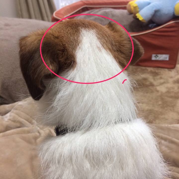 E3c56ff4 f111 4863 a4a1 da1f8bff16a7