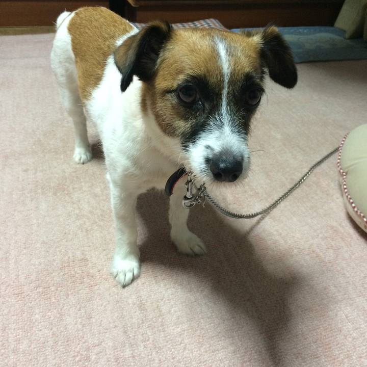 E3c57084 2023 4e2e 8b94 d201c6b43c8a