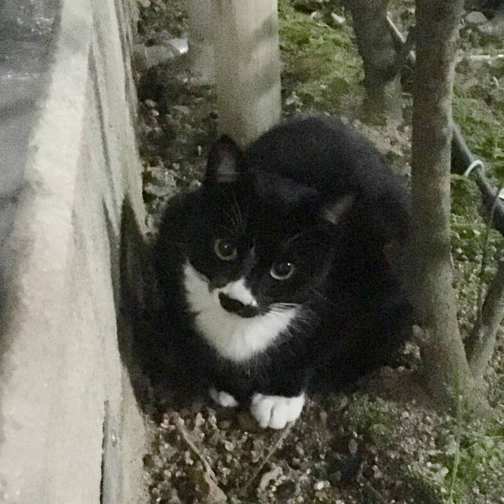 E3c59e33 0cfd 4d91 bf8b b6b072729d53