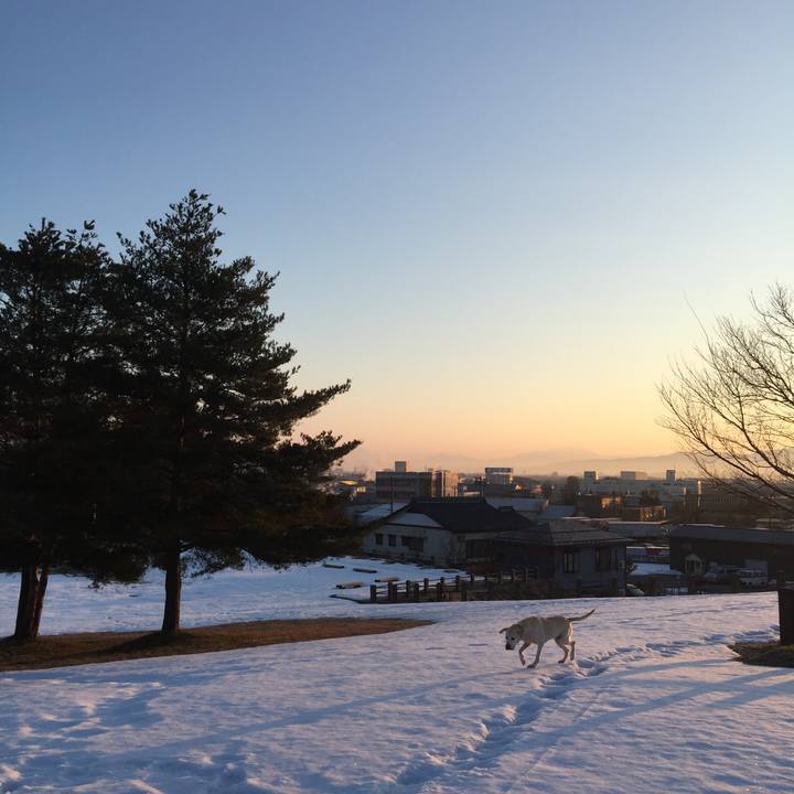 E3c5f9c3 bf7e 494c bdfa 83ed5b00e478