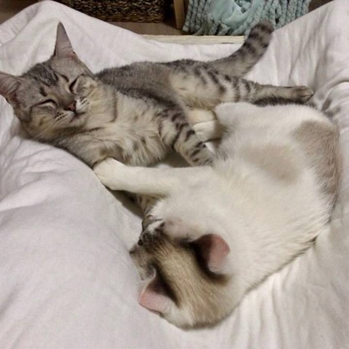 E3c69cbb c773 4f01 9ba3 53aef4337687