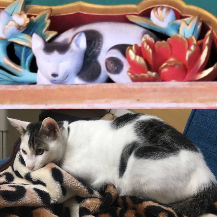 E3c6c80a 7e84 46f9 9b4c 4c77696732f6