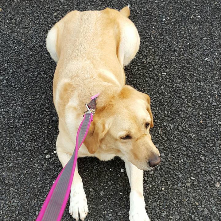 E3c70325 fe5b 4ad9 a61e b772c41e4753