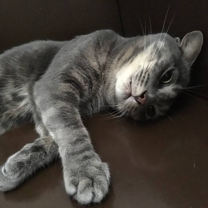 E3c71826 47d6 4ef2 88e6 f0c36ad877ca