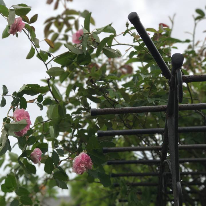 E3c718d0 6f6b 424d 8068 d3cef4d1c8aa