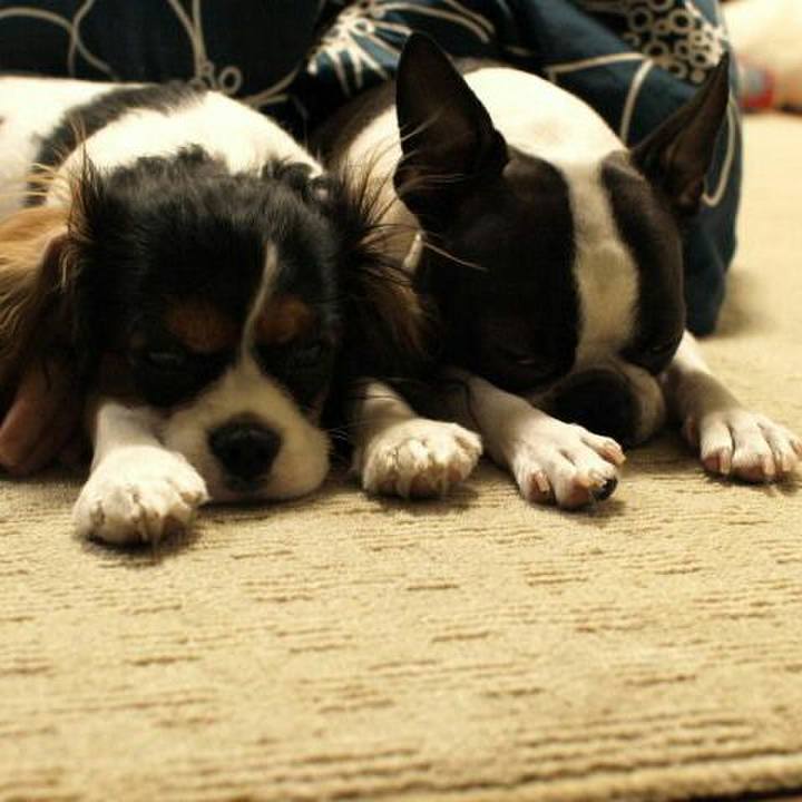 E3c74abb e218 4700 b1f1 b843c7854877