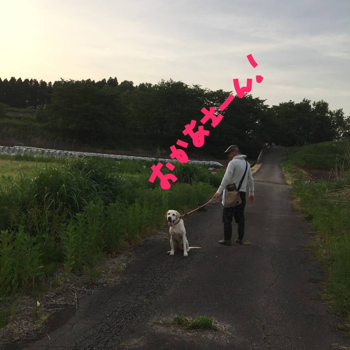 E3c77e91 99f4 49fc 80f4 888f1c476696