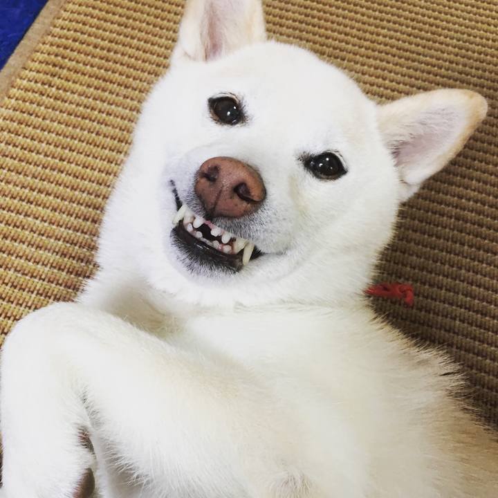 E3c7e949 904d 4bc7 be0c 380acc55b7c9