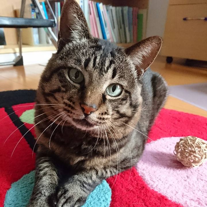 E3c7f4ce eafa 4184 b722 a430b3a3c738