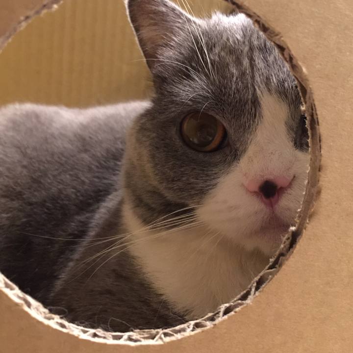 E3c95678 f4ae 4818 ad29 bb84ef0f7d3f