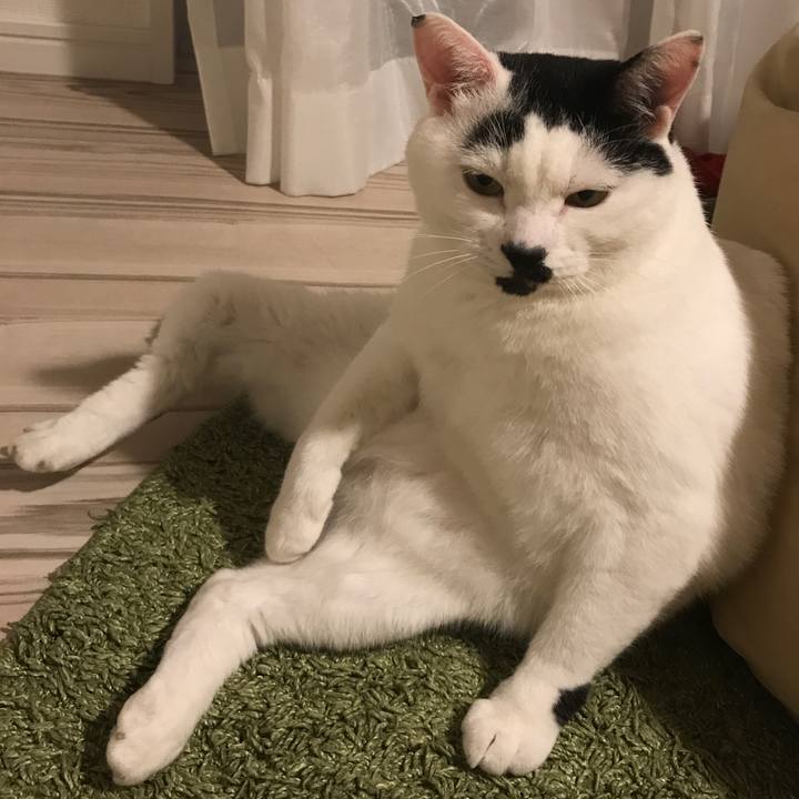 E3c9ba43 7a75 4339 85d5 cde6352ce98b