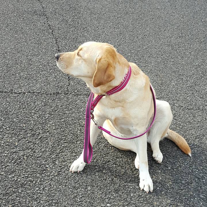 E3ca0afc 268d 4d6e 817f 09ef70cca57e